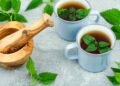 Healing nettle tea, alternative remedy