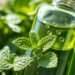Pure Peppermint Oil