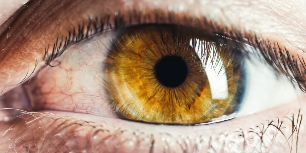 Man's brown human eye