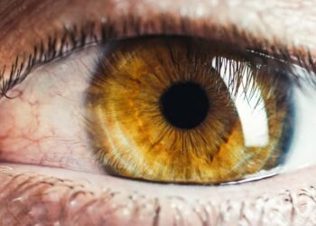Man's brown human eye
