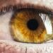 Man's brown human eye