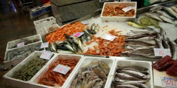 a bunch of fish that are on a table